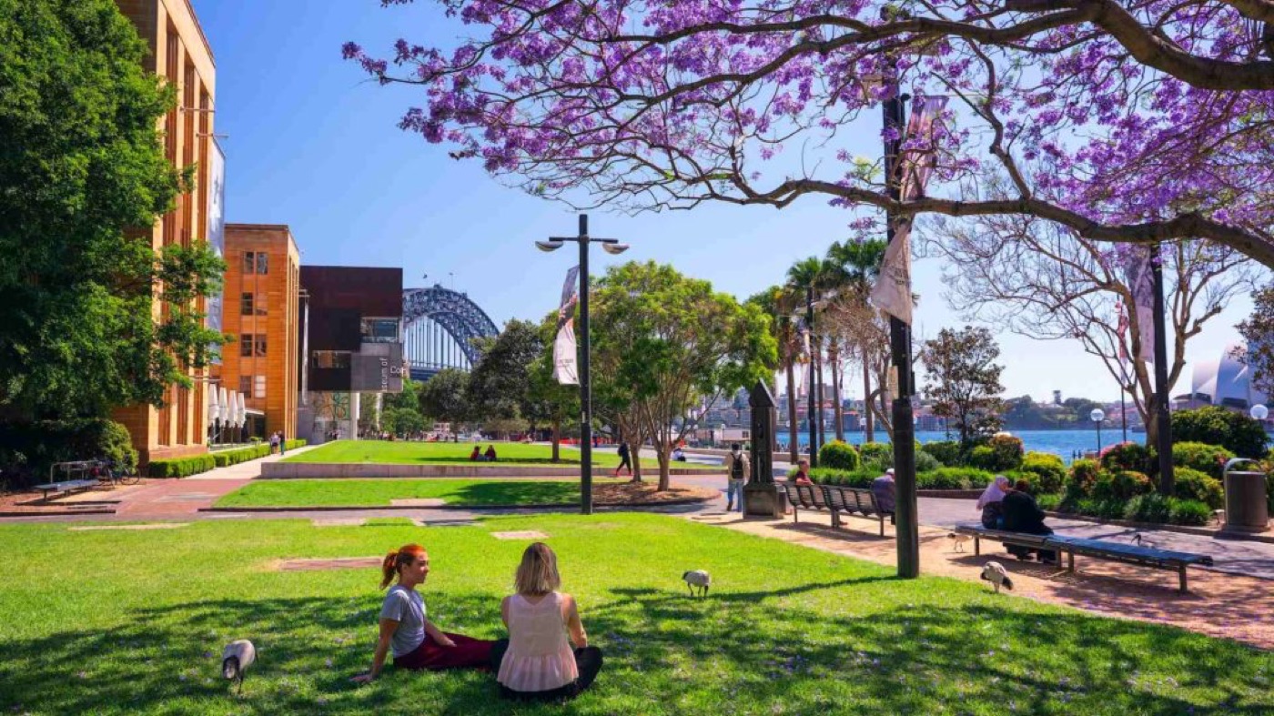 Leafy, tree lined streets in Glebe
