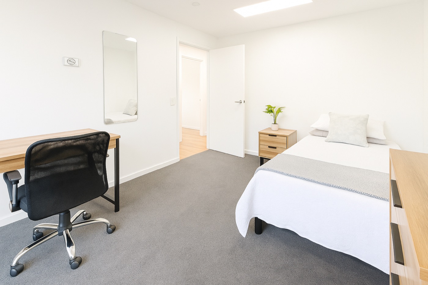 Large single room with natural light